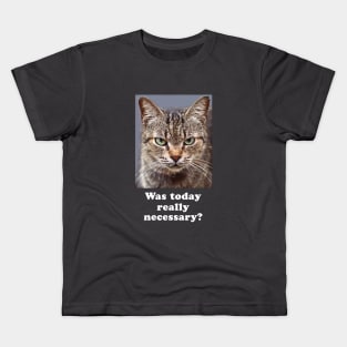 Funny Sarcastic Grumpy Kitty Cat for Men and Women Kids T-Shirt